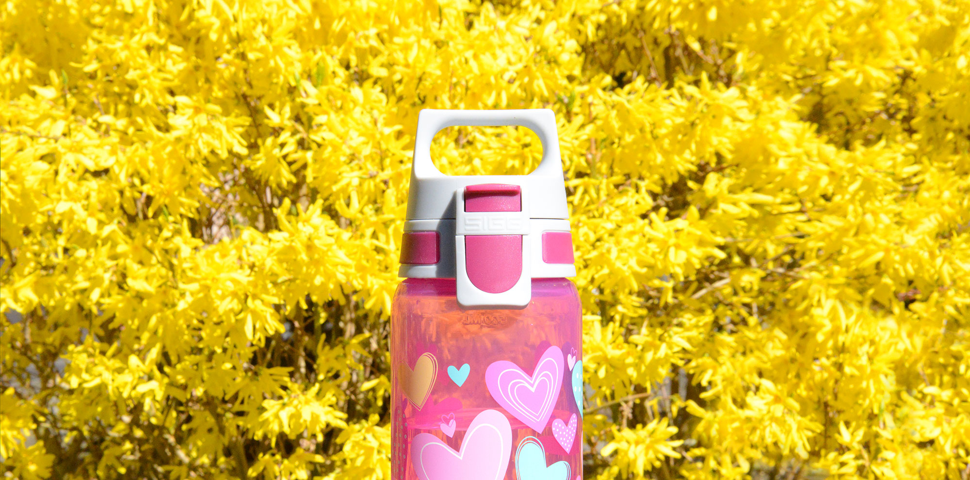 VIVA ONE Everyday Set – Bottle + Drying Rack Hearts