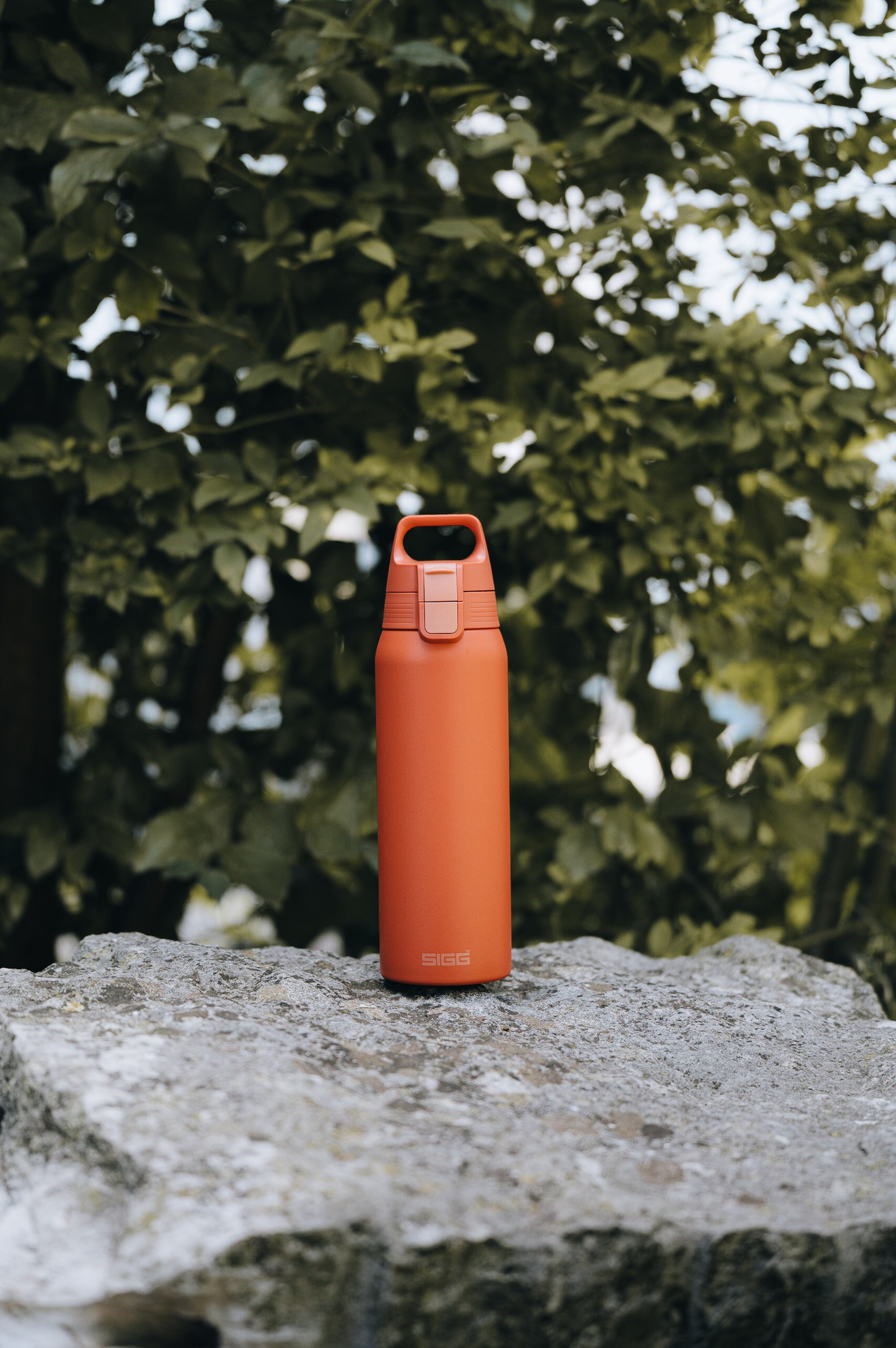 #farbe_eco red#größe_0.75 l