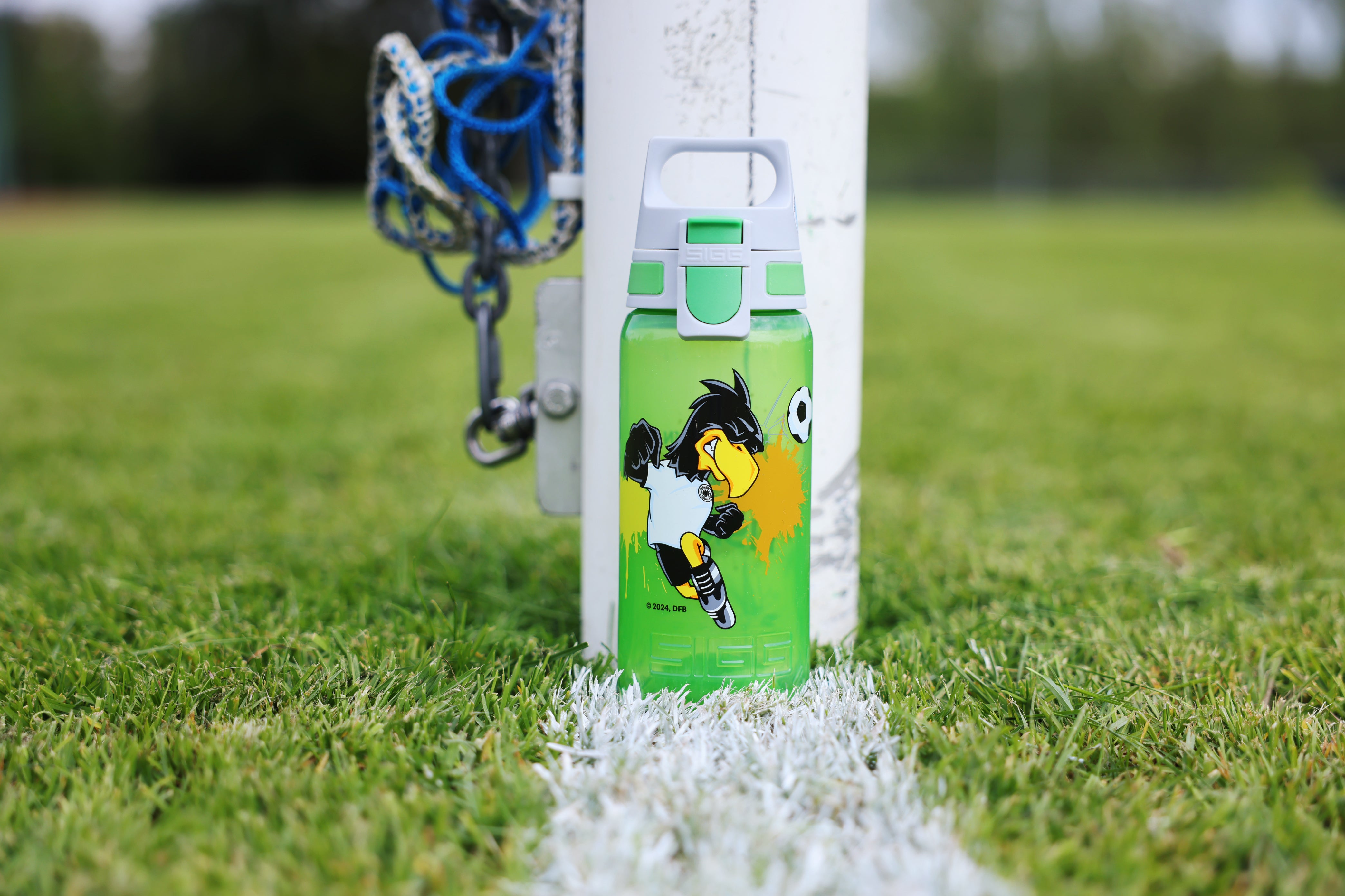 #farbe_dfb paule#größe_0.5 l