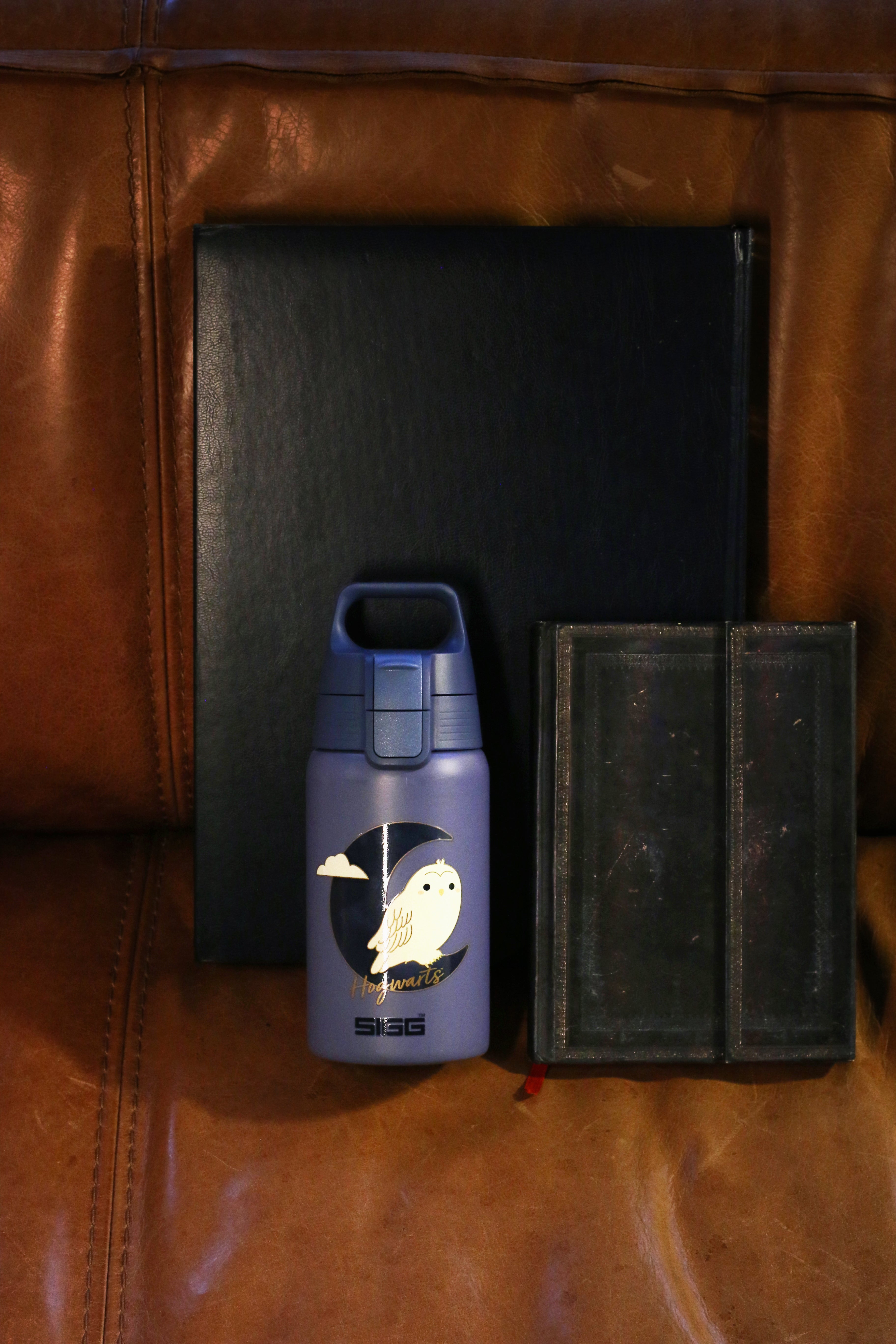 Shield ONE Hedwig 0.5 L