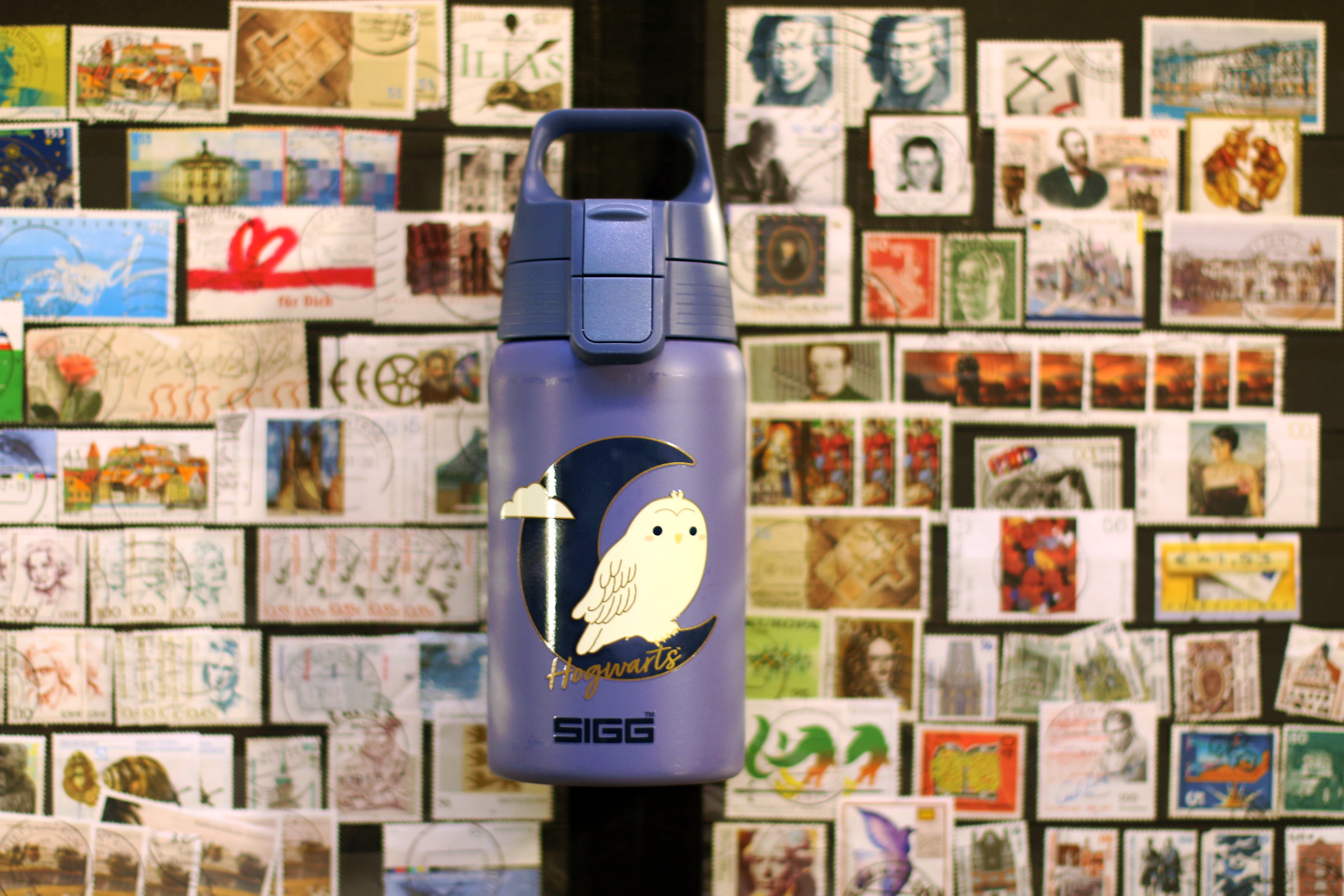 Shield ONE Hedwig 0.5 L