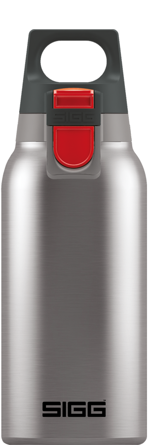 SIGG Thermo Flask Hot & Cold ONE Brushed 0.3loz buy online