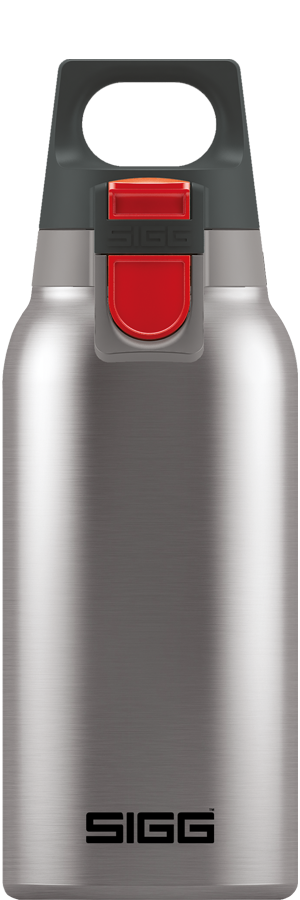 Thermo Flask Hot & Cold ONE Brushed 0.3l-10oz
