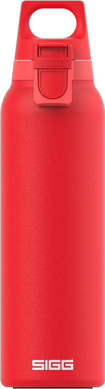 SIGG Thermo Trinkflasche Hot & Cold ONE Light Scarlet 0.55 L online kaufen