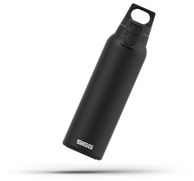 SIGG Wide Mouth Bottle One Gasket ab 2,86 €
